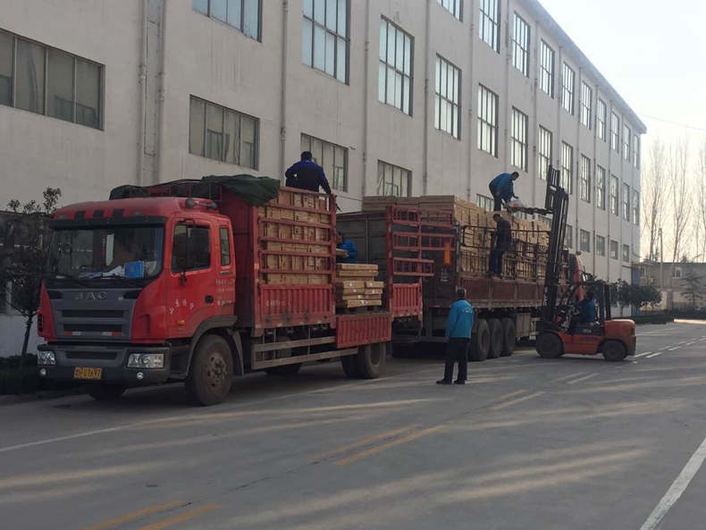 花蝶直播APP平台花蝶直播下载安装温暖出发